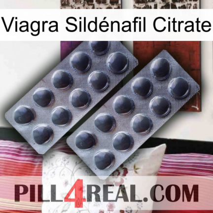 Viagra Sildénafil Citrate 31